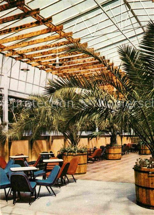 Zielona Gora Wnetrze kawiarni Palmiarnia Cafe