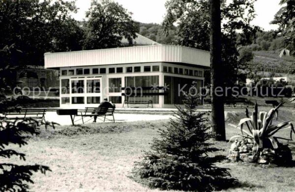 Balf Szanatorium parkja Park Sanatorium