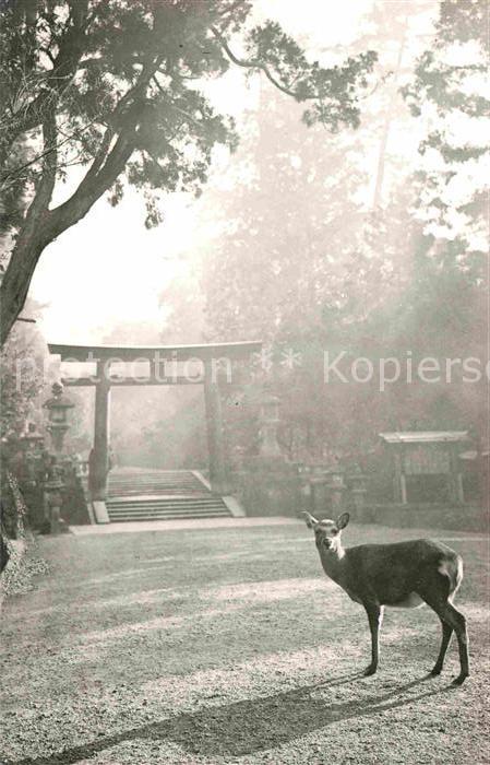 Nara Second Gate Kasuga Shrine