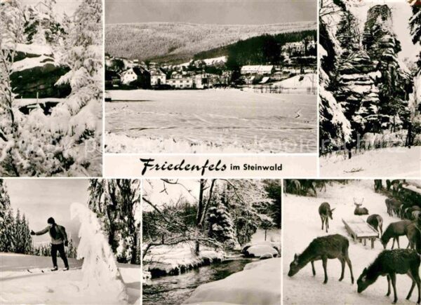 Friedenfels Skipiste Rotwild Panorama