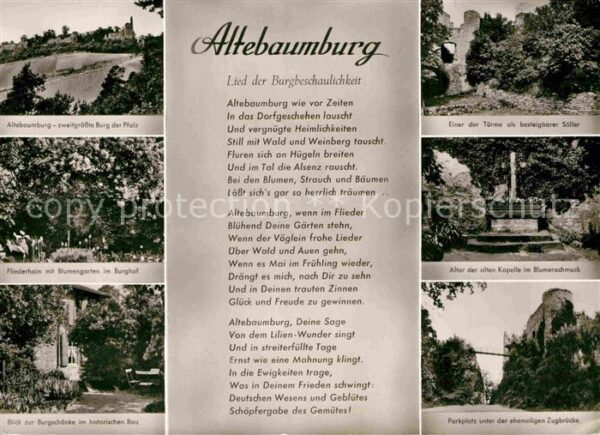 Alsenz Burgruine Altebaumburg