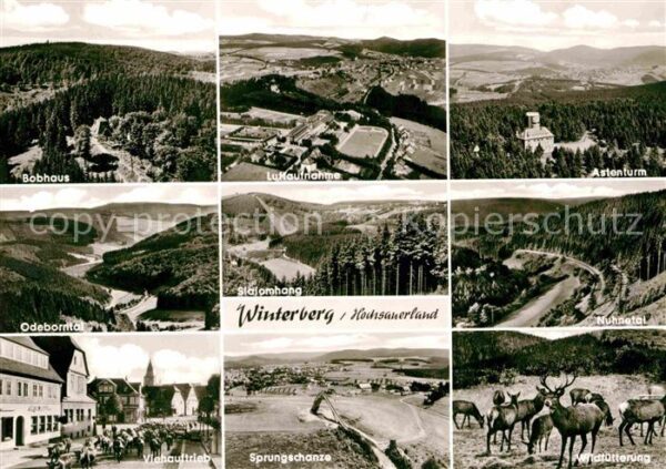 Winterberg Hochsauerland Bobhaus Viehauftrieb Sprungschanze Wild