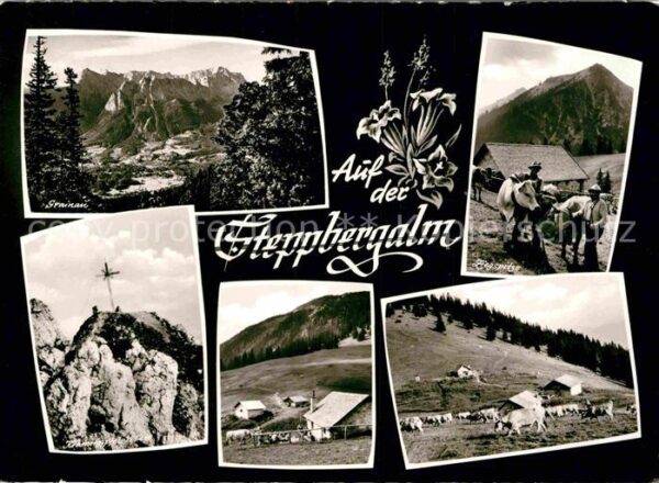 Garmisch-Partenkirchen Steppberg Alm