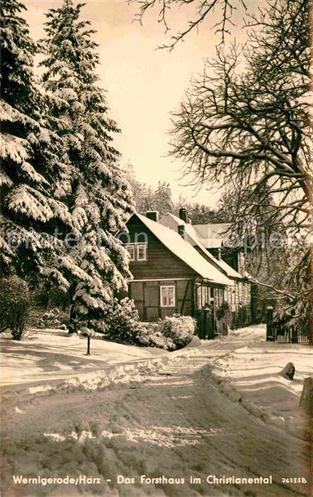Wernigerode Harz Forsthaus im Christianental Winterlands