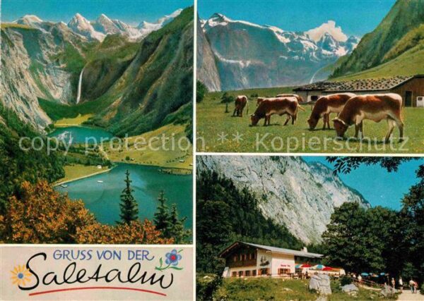 Berchtesgaden Saletalm am Königssee Kaunerwand Hageng