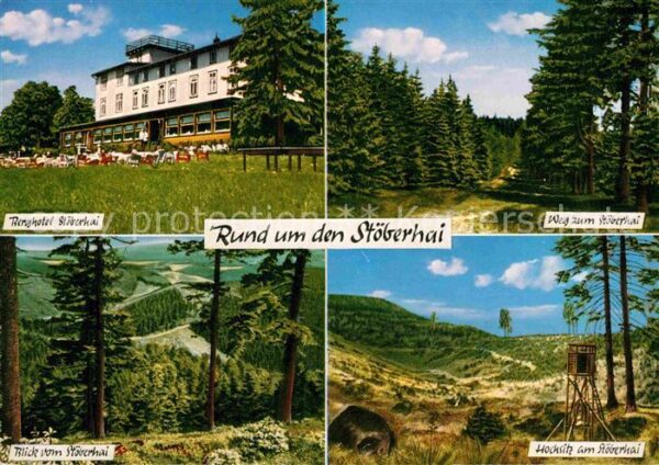 Wieda Berghotel Stöberhai Wald Hochsitz