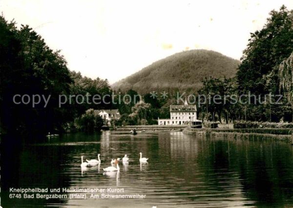 Bad Bergzabern Kneippheilbad Kurort Schwanenweiher