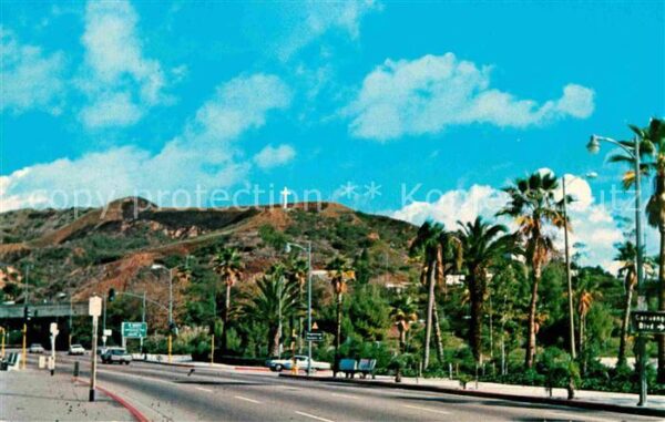 Hollywood California Palm Tree line Highland Avenue Hollywoo