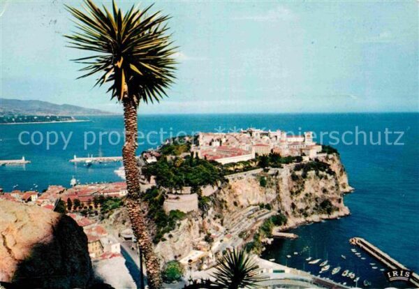 Monaco Le Rocher vu du Jardin Exotique au loin