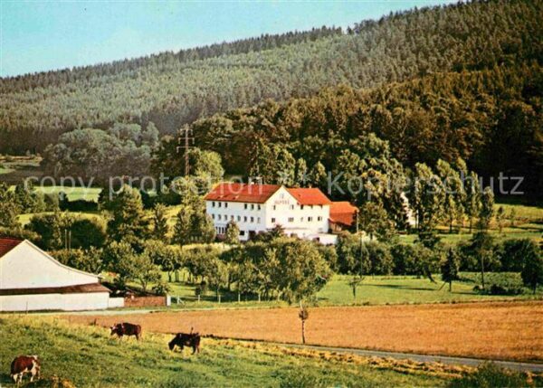 Bad Hersfeld Waldhotel Glimmesmühle