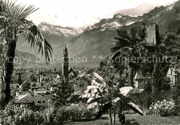 Meran Merano Ansicht mit Kirche Burgruine Texelgrupp