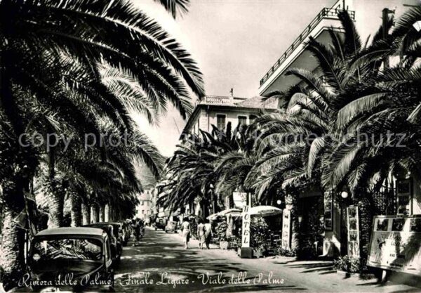 Finale Ligure Viale delle Palme Riviera delle Palme