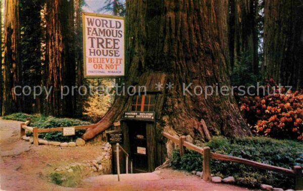 Laytonville World Famous Tree House in Tree House P