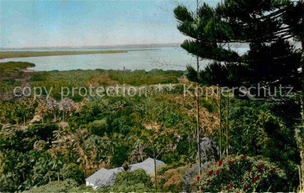 Noumea Cocoteraie