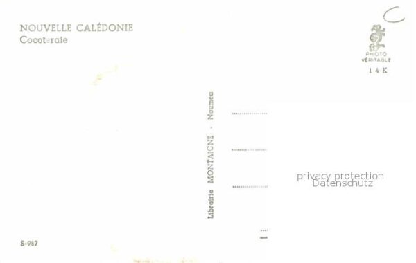 Noumea Cocoteraie – Bild 2