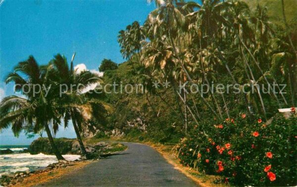 Tahiti Polynesien East Coast Road of Tahiti