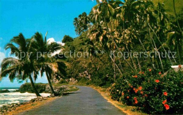 Tahiti Polynesien East Coast Road of Tahiti