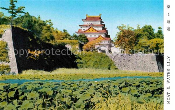 Japan Moat and Water Lily