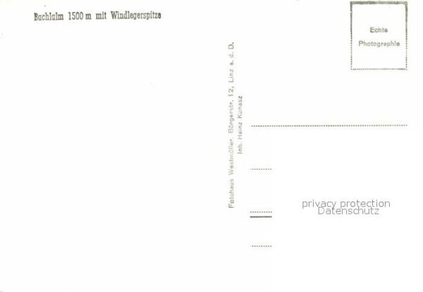Dachstein Steiermark Bachlalm mit Windlegerspitze – Bild 2