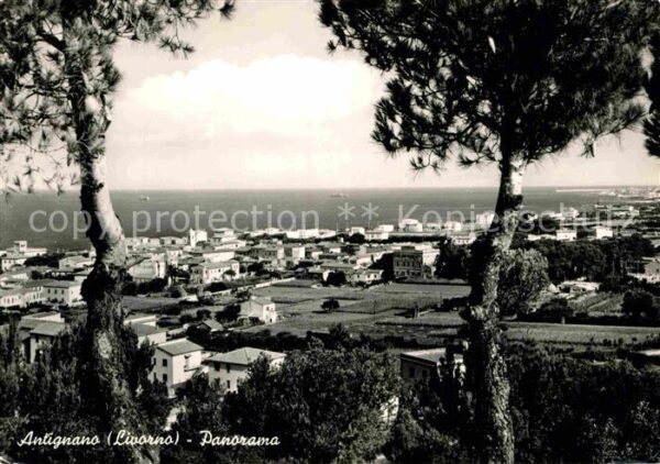 Antignano di Liverno Panorama