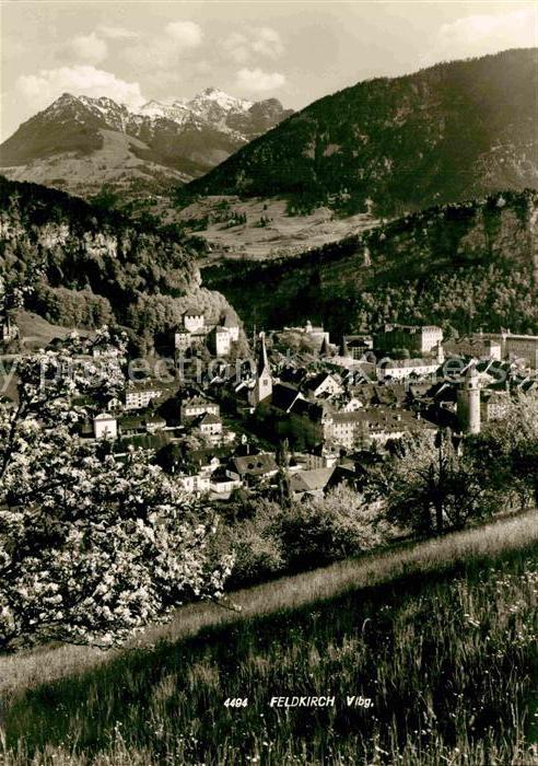 Feldkirch Vorarlberg Panorama