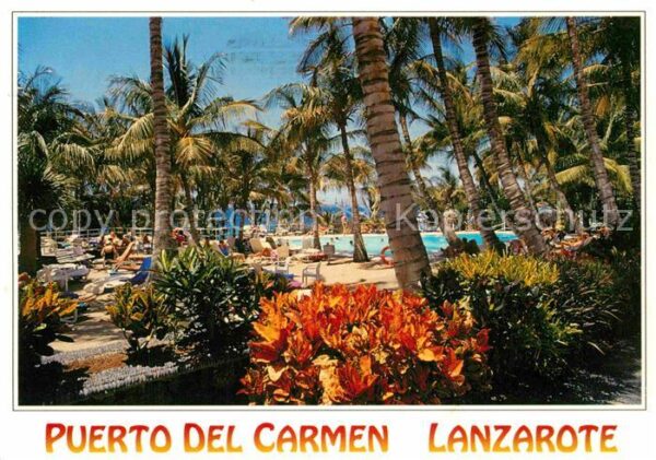 Puerto del Carmen Palmen Swimmingpool