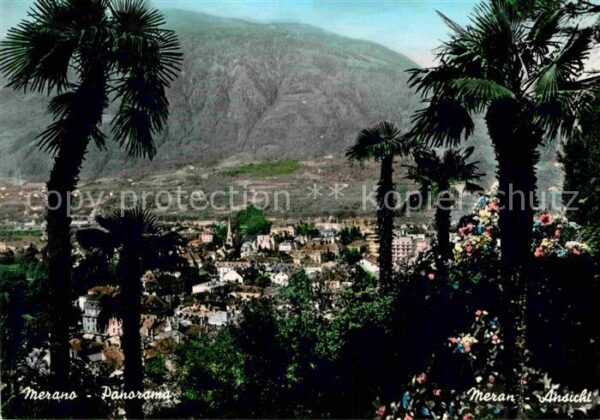 Meran Merano Panorama