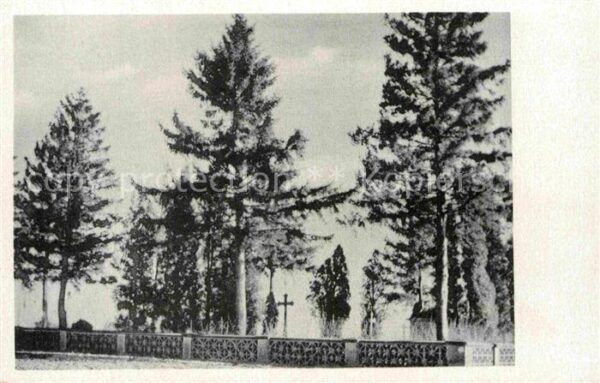 Kulm Westpreussen Preussischer Friedhof Prusky Hrbitov
