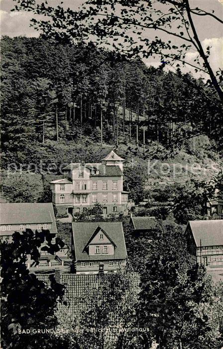 Bad Grund Blick zum Waldhaus