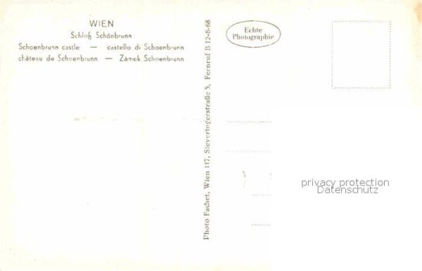 Wien Schloß Schönbrunn Gruppenfoto – Bild 2