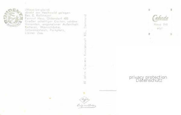 Oldendorf Holstein Rohdental im Weserbergland – Bild 2