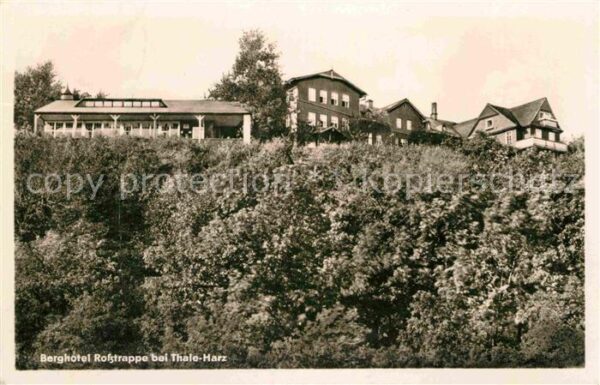 Thale Harz Berghotel Roßtrappe