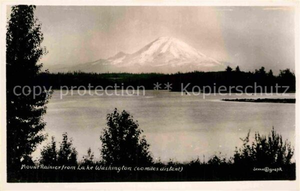 Mount Rainier Lake Washington