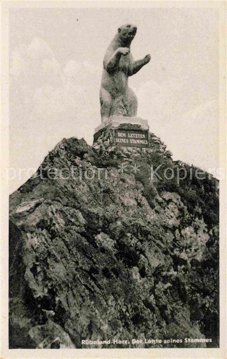 Ruebeland Harz Der Letzte seines Stammes