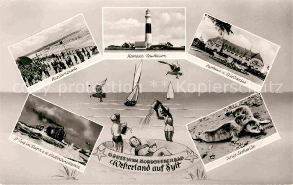Westerland Sylt Seehunde Kampen-Leuchtturm Kurpromenade
