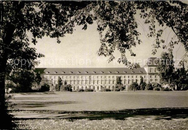 Bonn Rhein Universität