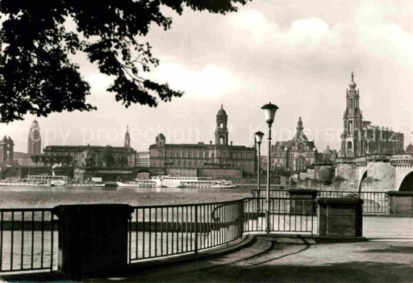Dresden Blick vom Narrenhaus