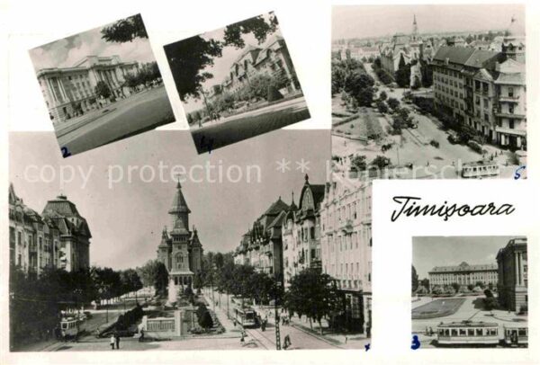 Timisoara Panorama Straßenbahn