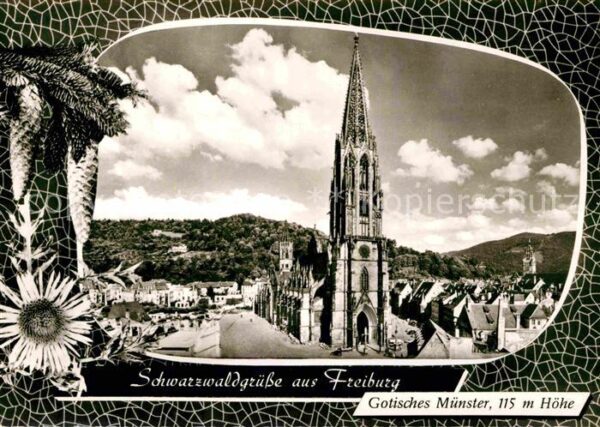 Freiburg Breisgau Gotisches Münster