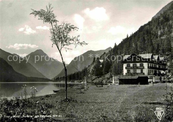 Plansee Hotel Forelle