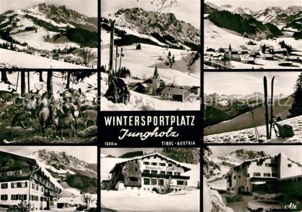 Jungholz Tirol Wintersportplatz Wildfutterplatz