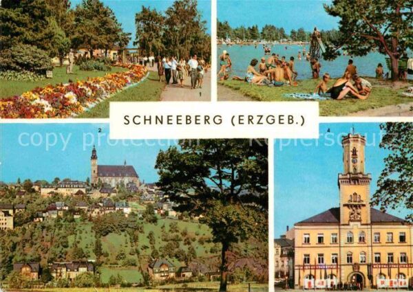 Schneeberg Erzgebirge 500 Jahre Bergstadt Filzteich Badestran