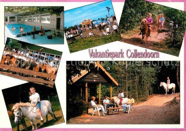 Hardenberg Niederlande Ferienpark Collendoorn