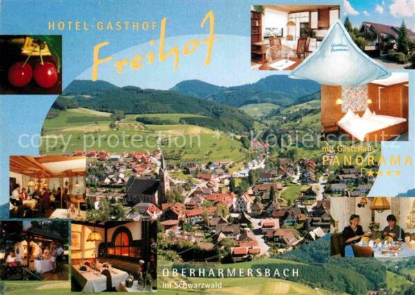 Oberharmersbach Hotel Freihof