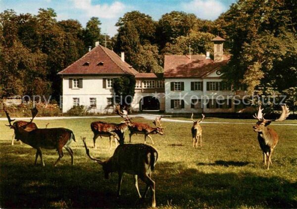 Sigmaringen Fürstlich Hohenzollernscher Wildpark Jo