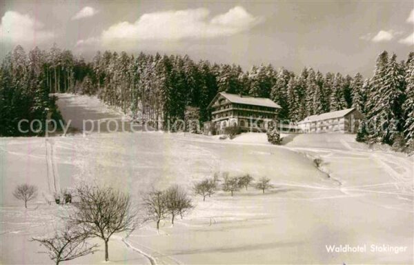 Freudenstadt Waldhotel Stokinger Winterpanorama Schw