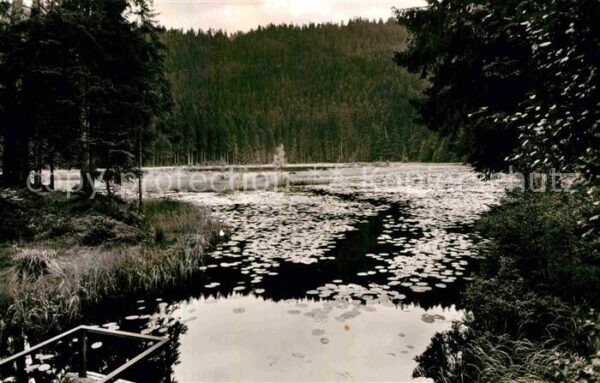 Huzenbach Huzenbachersee im Murgtal