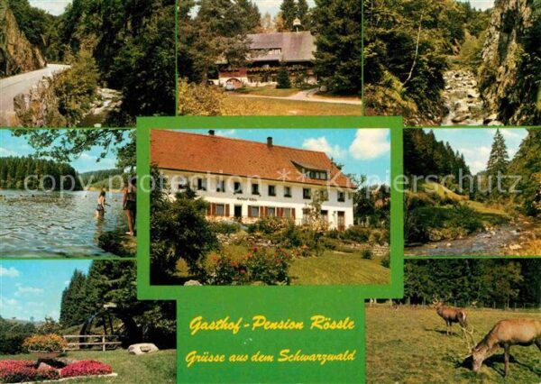 Bernau Schwarzwald Gasthof Pension Rössle Waldpartie Bach