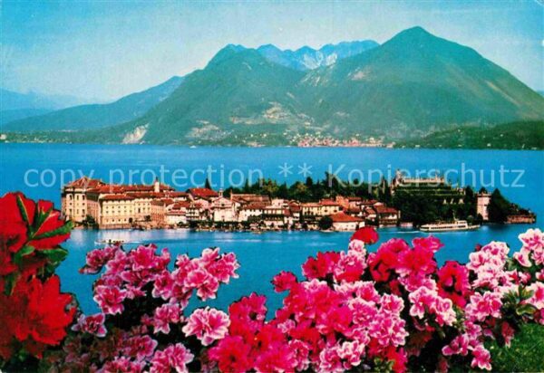 Isola Bella Lago Maggiore Panorama alpen

Panorama Alpen Blumen