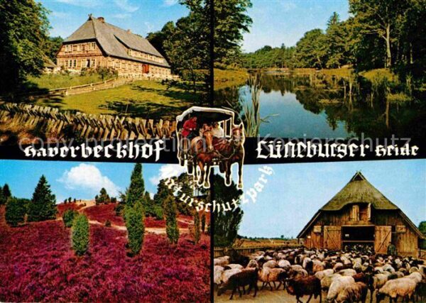 Niederhaverbeck Gasthof Haverbeckhof Teich Schafherde